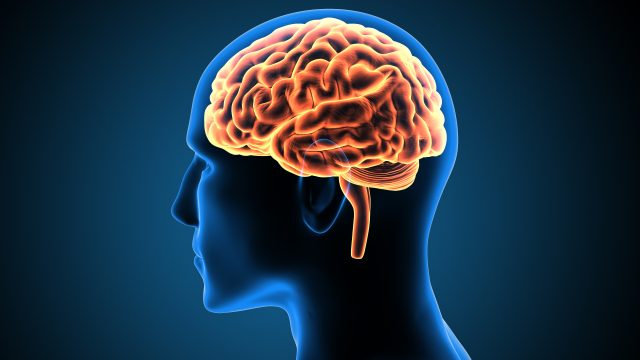 addiction-affects-the-brain-disease-SUD-dopamine-drugs-alcohol