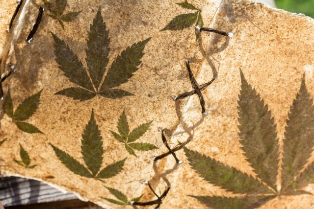 industrial-hemp-cannabis-plant-smoking-marijuana-Christianity