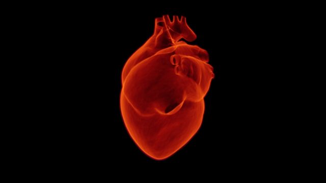 heart-health-stimulant-abuse-atrial-tachycardia-prescription-drugs
